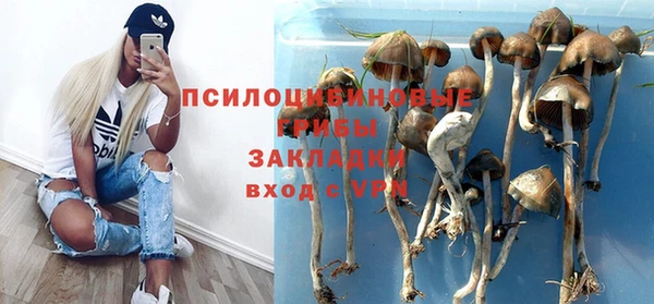 каннабис Аркадак