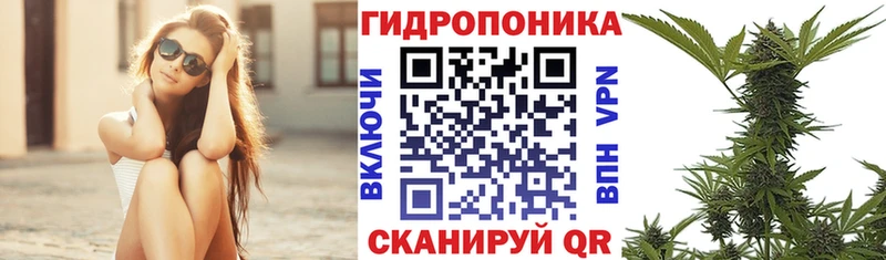 Бошки марихуана MAZAR  где купить наркоту  Сосновый Бор 